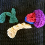 Crocheted internal organs